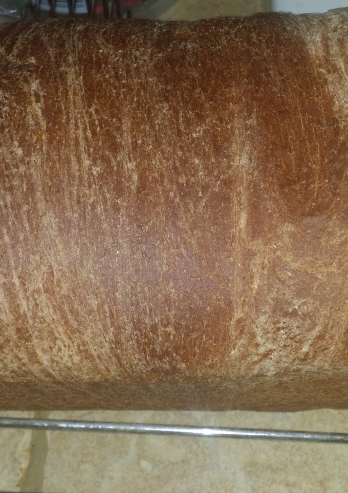 A picture of Basic wheat bread.