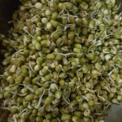 A picture of Sprouts.