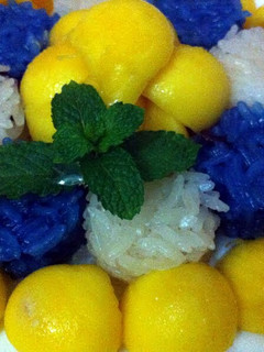A picture of Mango or Durian with Sticky Rice.