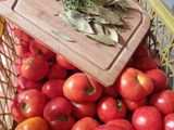 Salsa de tomates orgánica para guardar