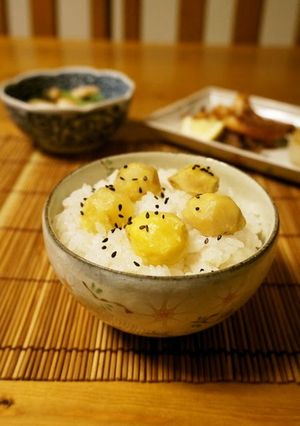 A picture of Classic Chestnut Rice.