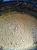 Mexican Queso Chip Dip
