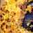 Sausage Hash Brown Breakfast Casserole