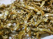 A picture of pilchards fish
