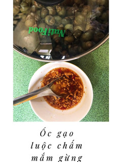 Hình của món Ốc gạo luộc chấm mắm gừng.