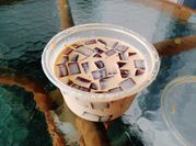 Gambar creamy coffee jelly