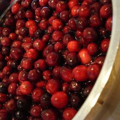 Tangy Cranberry Jam A picture of Tangy Cranberry Jam.