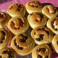 Chocolate Coated Barley Puff Rolls A picture of Chocolate Coated Barley Puff Rolls.