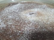 Una foto de brownie nesquik y aceite