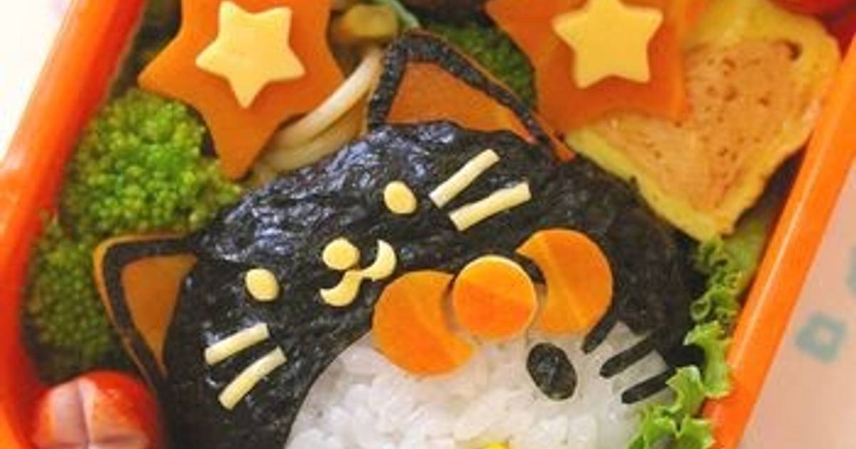 Bento cat outlet