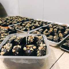 A picture of London almond.