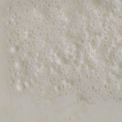 Homemade yogurt A picture of Homemade yogurt.
