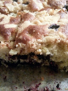 A picture of Blueberry Coffee Cake.