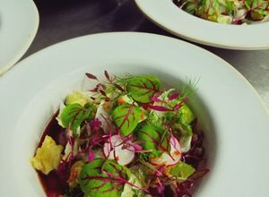 Foto de "Crudo de Atum  e Rabanete"