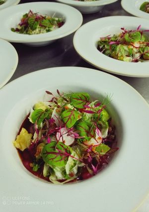 Foto de "Crudo de Atum  e Rabanete"