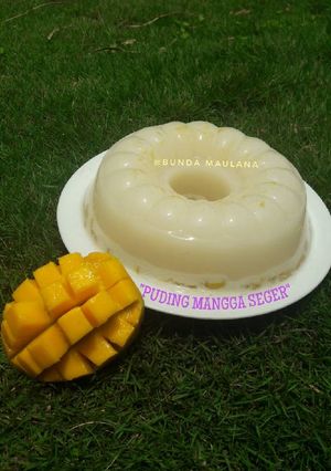 Foto resep Puding mangga seger