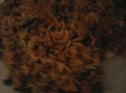 A picture of star anise cardamom