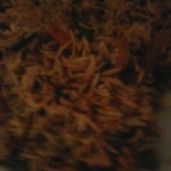 A picture of Biryani (Vegan).