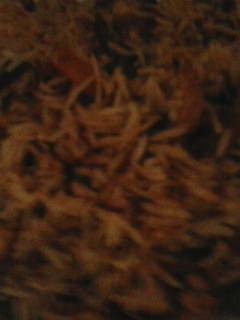 A picture of Biryani (Vegan).