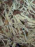 Yakisoba - hand down recipe (army style)