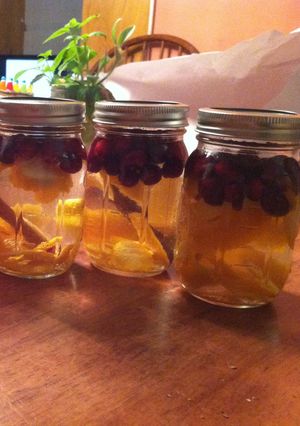 A picture of Cranberry Orange Cinnamon Infused Vodka.