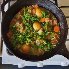 A picture of Root Vegetable Casserole.