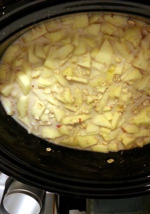 A picture of crockpot oatmeal.