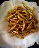 Cá cơm chiên giòn