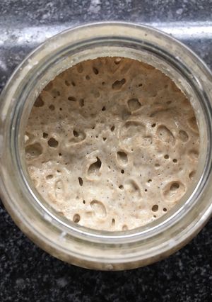 Una foto de Masa madre fermento natural
