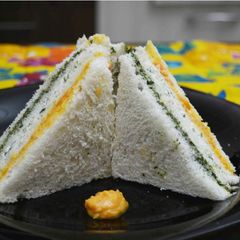 A picture of Healthy & Appetizing Tricolor Sandwich.