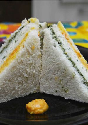 A picture of Healthy & Appetizing Tricolor Sandwich.