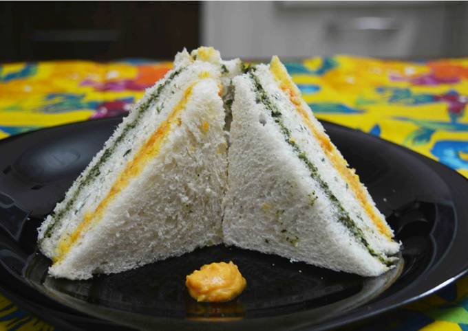 Healthy & Appetizing Tricolor Sandwich
