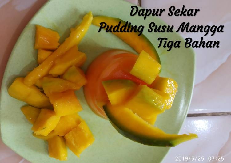 Pudding Susu Mangga 3 Bahan