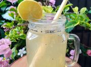 Gambar lemon sereh selasih