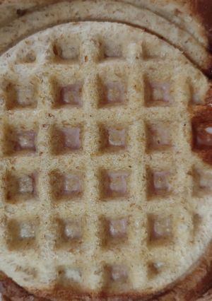 A picture of Pork & Cheese Toasted Sandwich.