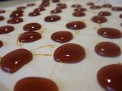 A picture of custard pudding
