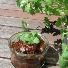 A picture of Onion Chutney.