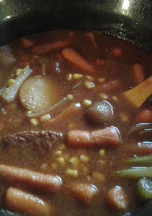 A picture of Hunter's Red Stew (venison).