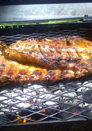 A picture of ribs.