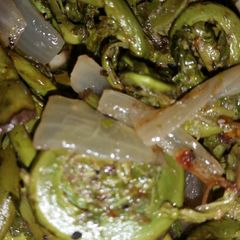 A picture of Maine fiddleheads.