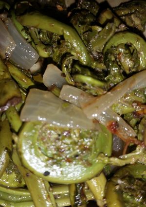 A picture of Maine fiddleheads.