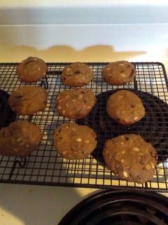 A picture of Craisin, Pinenut and Dark Chocolate Biscuits.