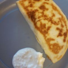 A picture of Chicken quesdilla.