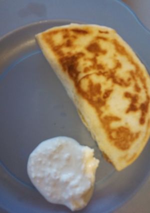 A picture of Chicken quesdilla.