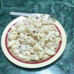 A picture of White creamy Macaroni.