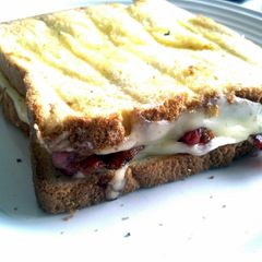 A picture of Stoopid-Good Grilled Cheese.