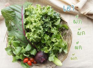 รูปของ น้ำผักปั่น (คลีน)