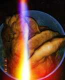 Tortas fritas