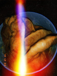 Una foto de Tortas fritas