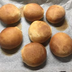 A picture of Buns.